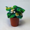 Monstera – Image 4