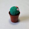 Cactus Simple – Image 6