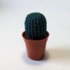 Cactus Simple – Image 4