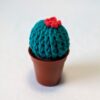 Cactus Simple – Image 2
