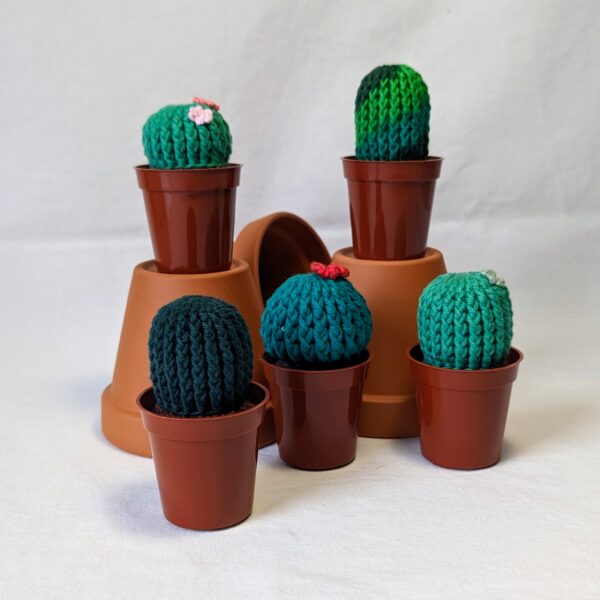 Cactus Simple