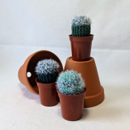 Cactus Piquant