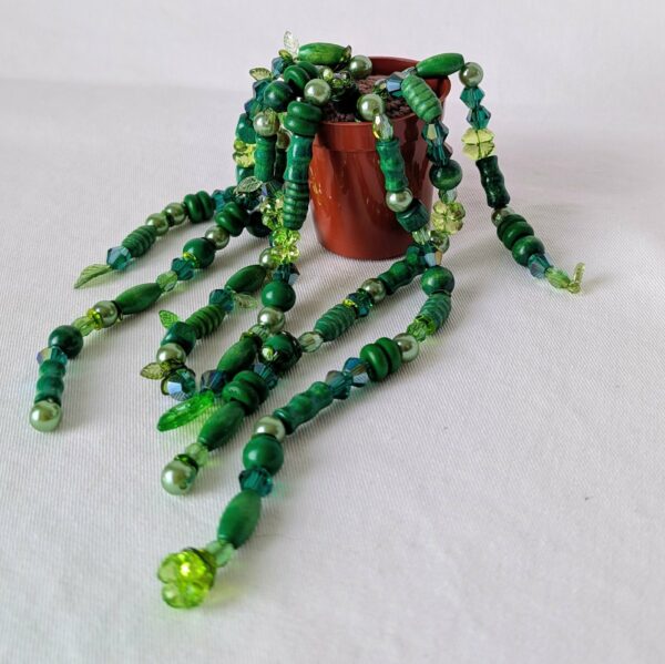 Pearl plante – Image 2