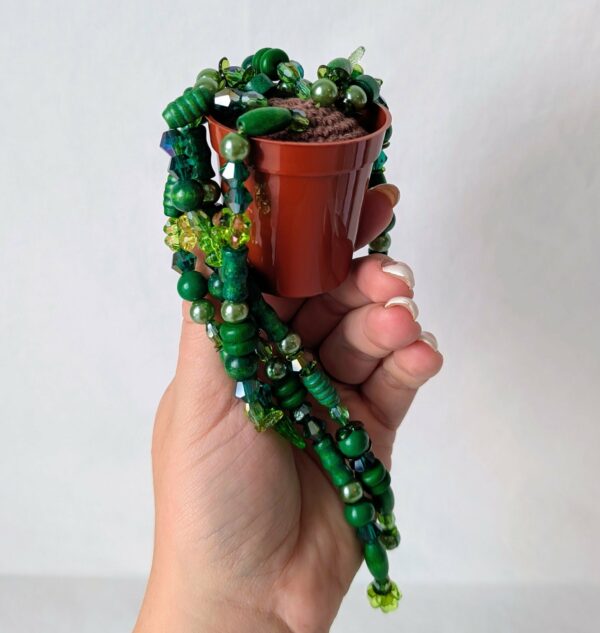Pearl plante – Image 3